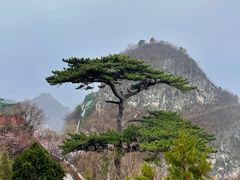 -圣莲山风景区