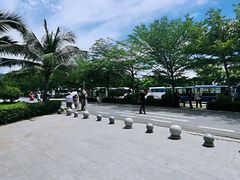-亚龙湾国际玫瑰谷