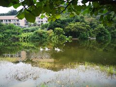 -厦门国家会计学院