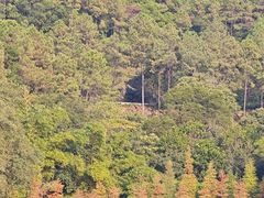 -广州白江湖森林公园