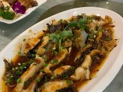 顺德佬煎焗缩骨鱼嘴-顺德佬华侨城店·商务宴请·团建