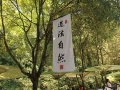 -青城山