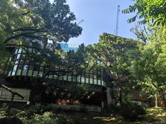 -香港大学