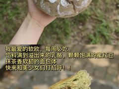 -风车面包