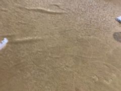 -202特色排档(五缘湾店)