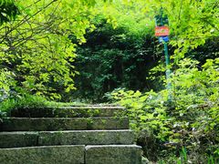 -九曜山