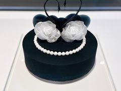 -BLACKSWAN黑天鹅(环球店)