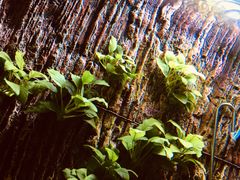 -圣爵菲斯大酒店(长沙世界之窗店)