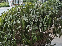 -万达广场(厦门湖里店)