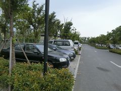 -上海浦江郊野公园·1号停车场