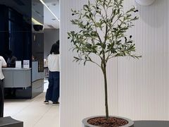 -喜茶(上海五角场万达店)