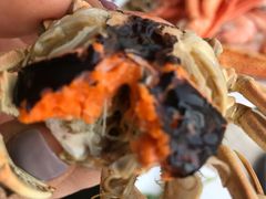 螃蟹-东方红海鲜百汇(国际大厦店)