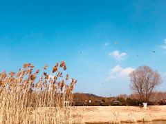 -钟山体育运动公园