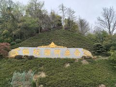 -庐山风景名胜区-东林大佛