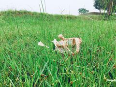 -盘龙城国家考古遗址公园