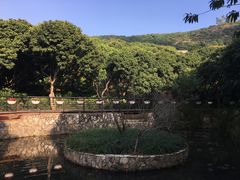 -月亮湾公园