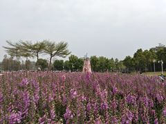 -顺峰山公园