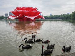 -洛阳市隋唐城遗址植物园