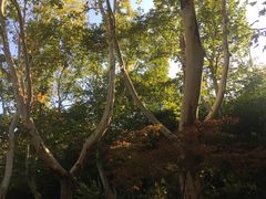 景点-习家池