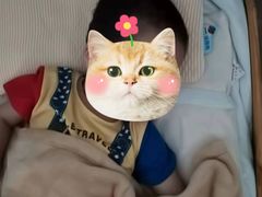 -文启·优思高端托教(复兴校区)