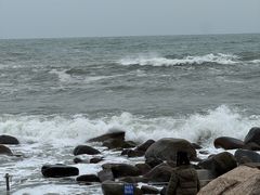 -广东惠东海龟国家级自然保护区