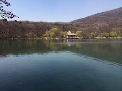 -紫霞湖公园