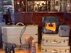 -Goyard 高雅德(国贸商城店)