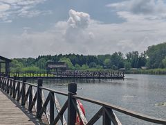 -溱湖国家湿地公园