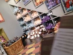 android_upload_pic-济州岛泰迪熊博物馆