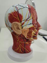 -索菲医疗整形美容