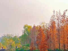 -白鹭湾湿地公园