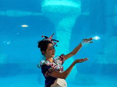 -海合安武汉极地海洋公园
