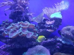 -青岛海底世界-水族馆
