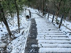 -紫金山山顶公园