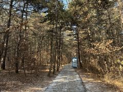 -帽儿山国家森林公园