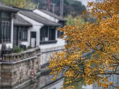 -青果巷历史文化街区