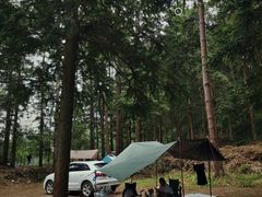-重庆睡佛山森林公园