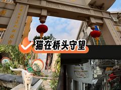 -长洲岛