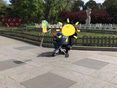 -丰台花园