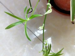 -花草间花行(法华镇路店)