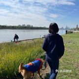 艳阳普照的日子真让人心情舒畅🌞