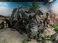 -国家自然博物馆