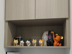 -宠物星动物医院·眼科·异宠·猫科(江南大道总院)