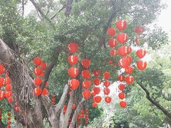 -荔湾湖公园