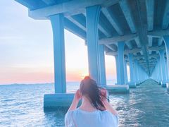 -宝安西湾红树林湿地公园