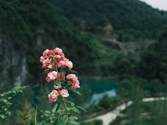 -铜锣山矿山公园