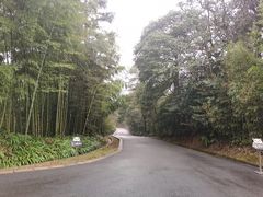 -中国大熊猫保护研究中心雅安碧峰峡基地