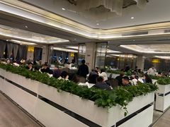 大堂-凯逸轩·匠心粤菜(中城名仕汇店)