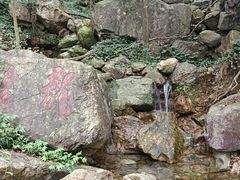 -北仑森林植物园