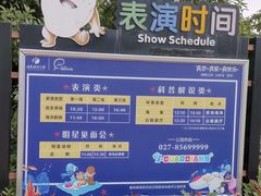 -海合安武汉极地海洋公园